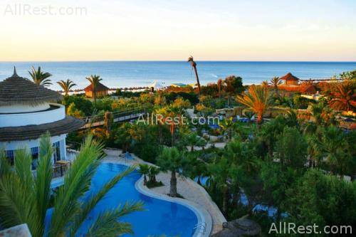 Magic Life Africana Imperial 8